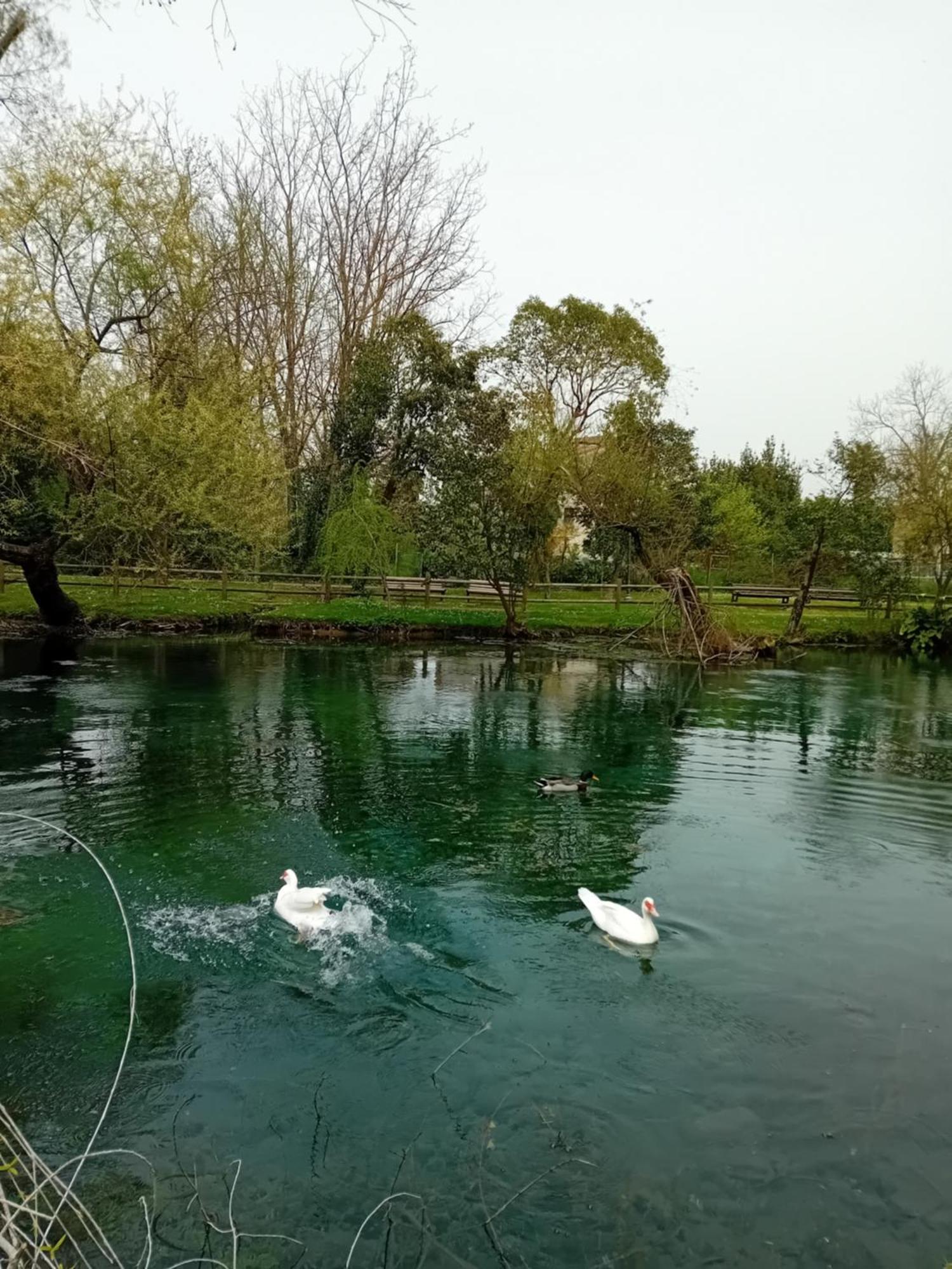 شقة Bella Di Notte San Giorgio a Liri المظهر الخارجي الصورة
